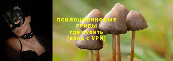 мдпв Пролетарск