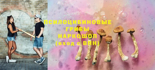 крисы Белокуриха