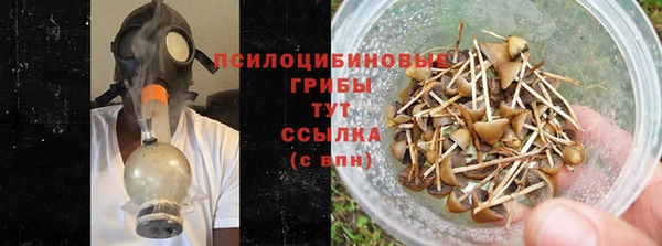 крисы Белоозёрский