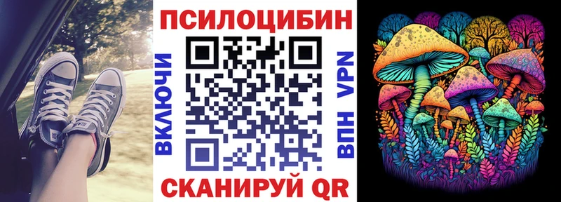Псилоцибиновые грибы Cubensis  купить наркотики сайты  Болохово 